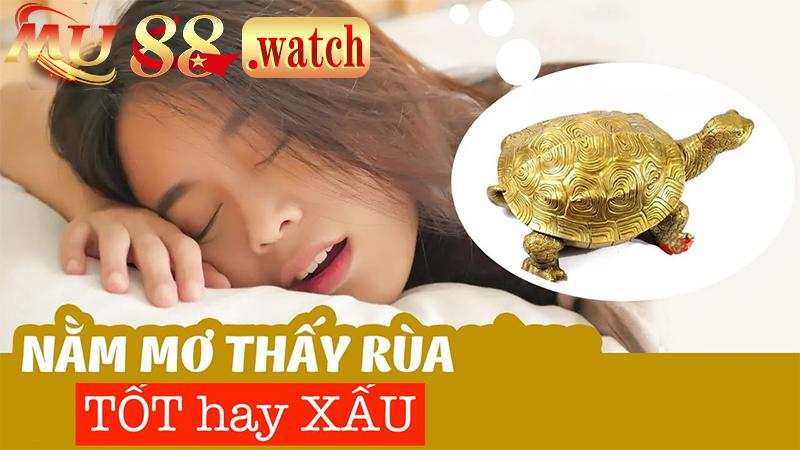 Nằm mơ thấy rùa báo điềm tốt hay xấu?