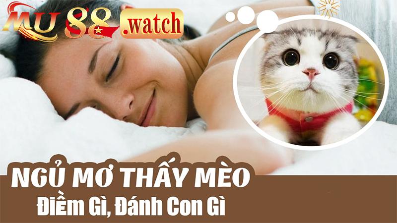 Ý nghĩa trong cuộc sống khi nằm mơ thấy mèo