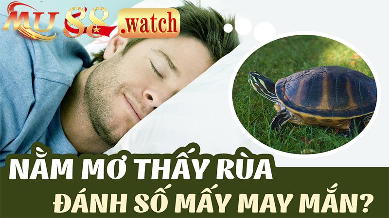 Những con số may mắn mang lại chiến thắng lô đề từ nhà cái