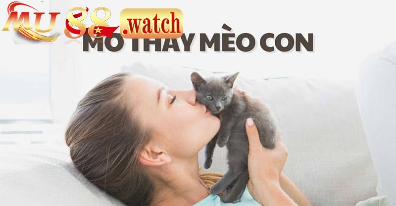 Hiểu sơ bộ về giấc mơ thấy mèo như thế nào