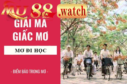 Giải mã về giấc đi học như thế nào?