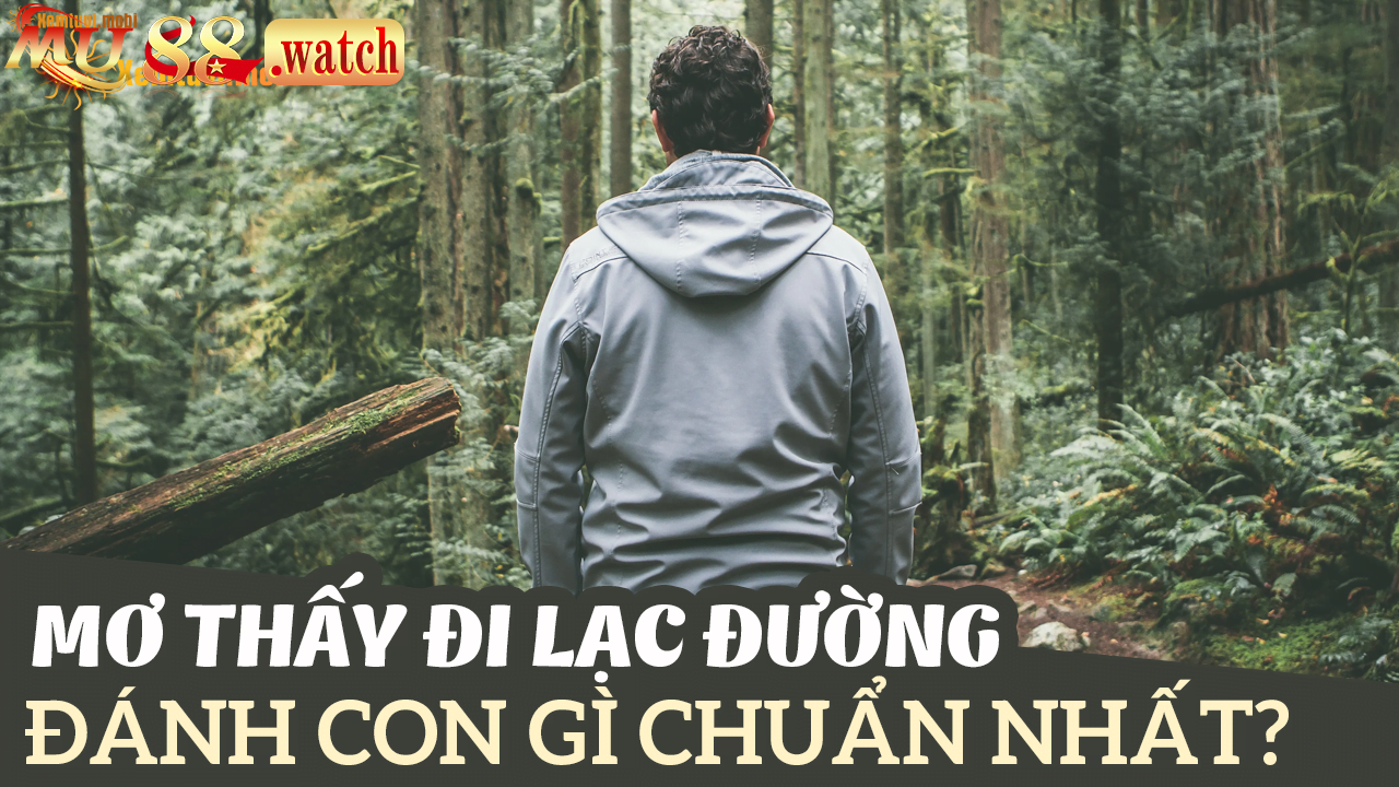 Con số ý nghĩa mang lại nhiều thưởng lớn trong lô đề