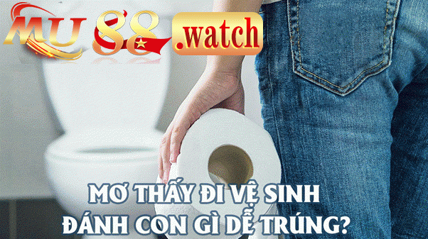 Những con số ý nghĩa từ giấc mơ bắt gặp đi vệ sinh