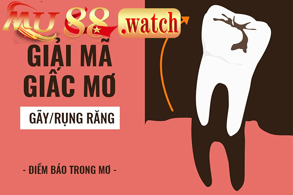 Giải mã về giấc mơ gãy răng báo mộng điều gì?