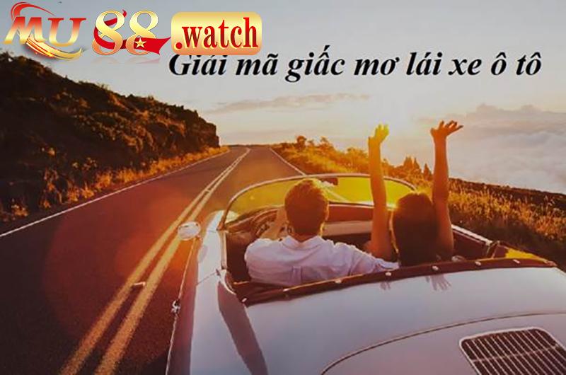 Giải mã sơ bộ về giấc mơ lái xe ô tô báo điềm tốt xấu