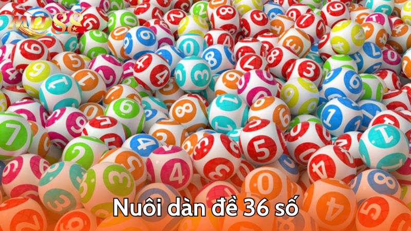 Cách tìm nuôi dàn đề 36 số hiệu quả